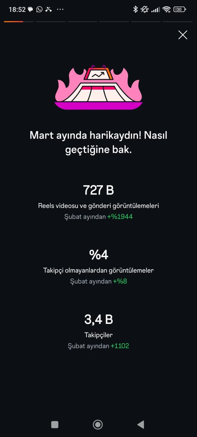 Instagram aylık büyüme özeti